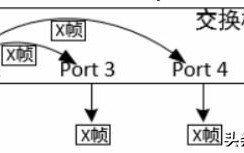 0基础入门网络工程师，局域网交换机基础，ensp软件，弱电工程师