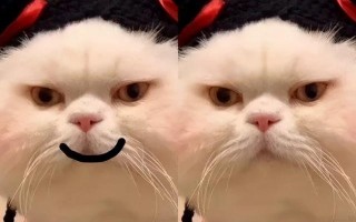 不笑不能进公司？打工人神吐槽“笑脸考勤门禁系统”