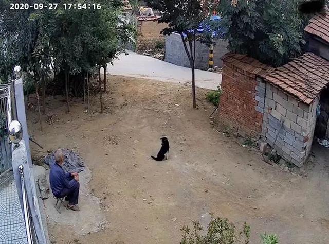 这些监控画面，我一秒也不敢看……-第8张图片-深圳弱电安装公司|深圳弱电安装工程|深圳弱电系统集成-【众番科技】