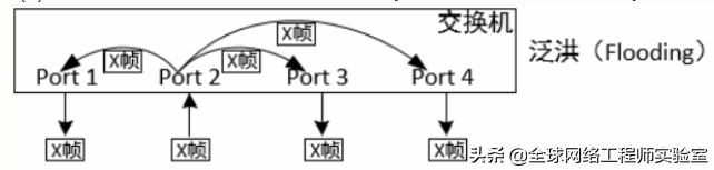 0基础入门网络工程师，局域网交换机基础，ensp软件，弱电工程师-第1张图片-深圳弱电安装公司|深圳弱电安装工程|深圳弱电系统集成-【众番科技】