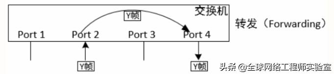 0基础入门网络工程师，局域网交换机基础，ensp软件，弱电工程师-第2张图片-深圳弱电安装公司|深圳弱电安装工程|深圳弱电系统集成-【众番科技】